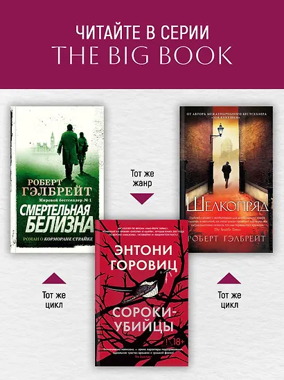 Корморан Страйк. Книга 3. На службе зла - фото 6