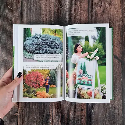 Энциклопедия хвойных растений. Вечнозелёные долгожители в вашем саду - фото 15