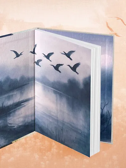 Дом на Птичьем острове. Книга первая: Рожденная быть второй - фото 11