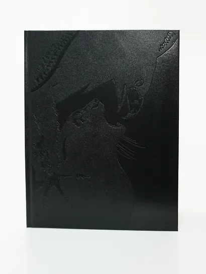 Глаза кошки - фото 13