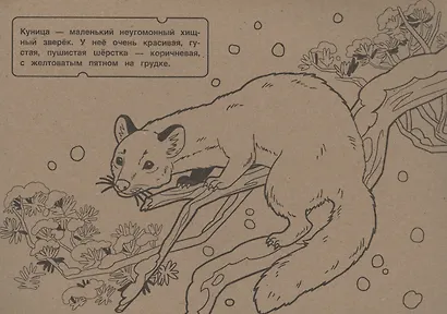 Раскраска В лесу - фото 4