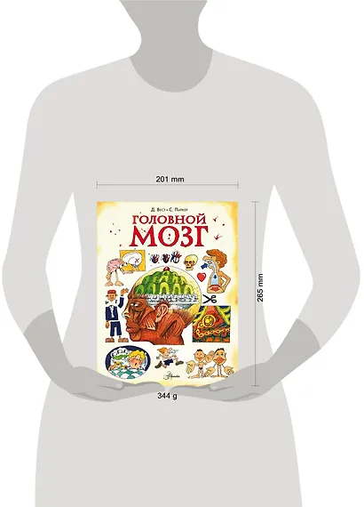 Головной мозг - фото 4