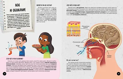 Что? Как? Почему? Мои первые знания про ТЕЛО ЧЕЛОВЕКА (с постером) - фото 7