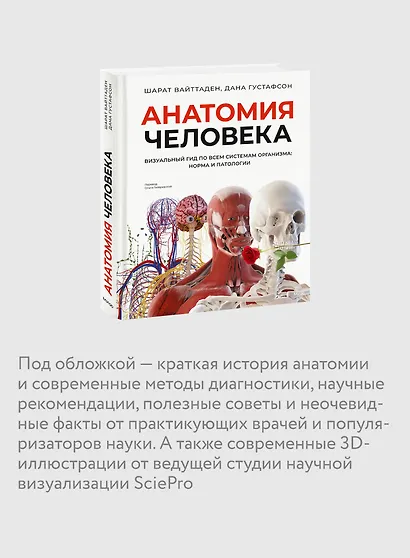 Анатомия человека. Визуальный гид по всем системам организма: норма и патологии - фото 6