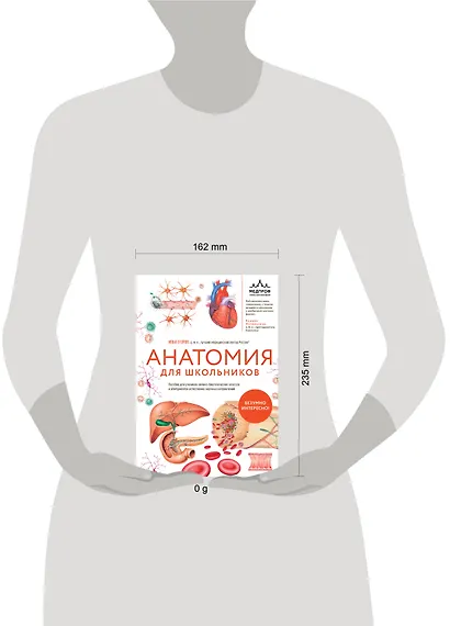 Анатомия для школьников. Пособие для учеников химико-биологических классов и абитуриентов естественно-научных направлений - фото 4