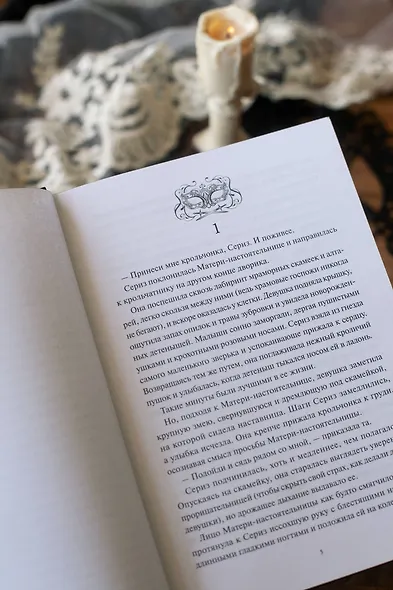 Тень короля - фото 10