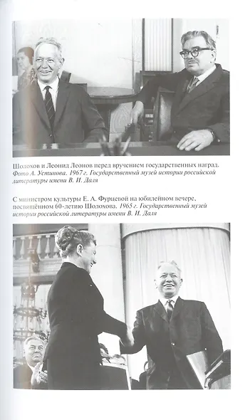 Шолохов. Незаконный - фото 8