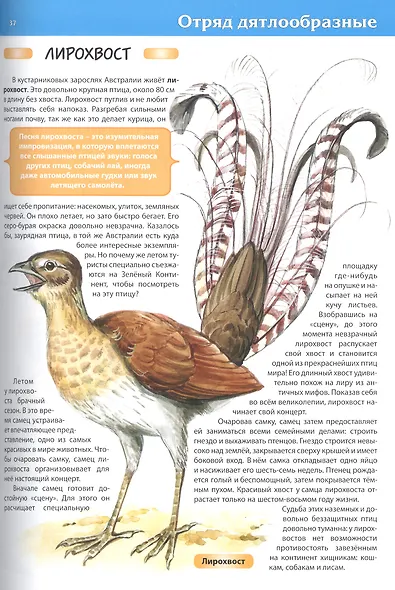 Животные. Большая детская энциклопедия - фото 8