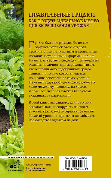 Правильные грядки. Как создать идеальное место для выращивания урожая - фото 2