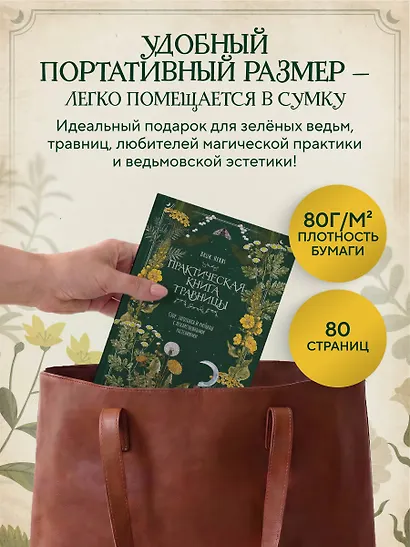 Практическая книга травницы. Сбор, заготовка и ритуалы с лекарственными растениями (Bruk.Herbs) - фото 7