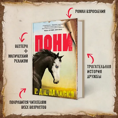 Пони - фото 3