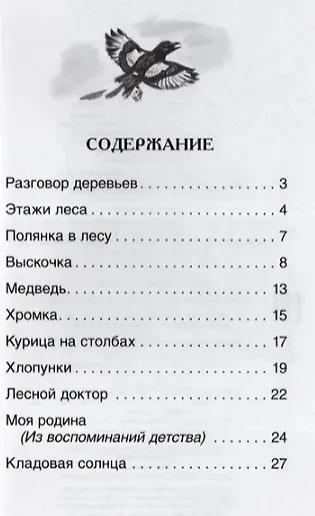 Кладовая солнца. Рассказы - фото 7