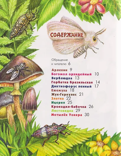 Азбука диковинных насекомых: Для взрослых и детей - фото 3