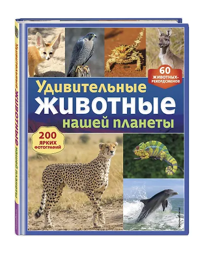 Удивительные животные нашей планеты - фото 3