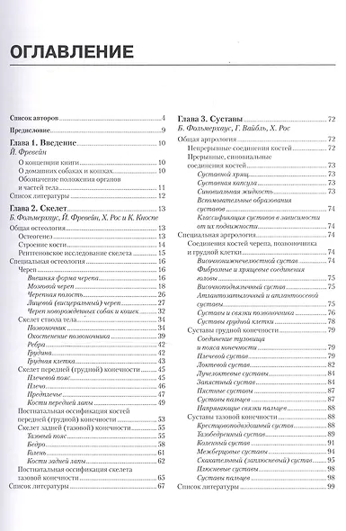 Анатомия собаки и кошки - фото 2