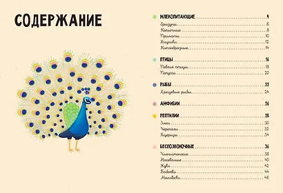 Животные - фото 5