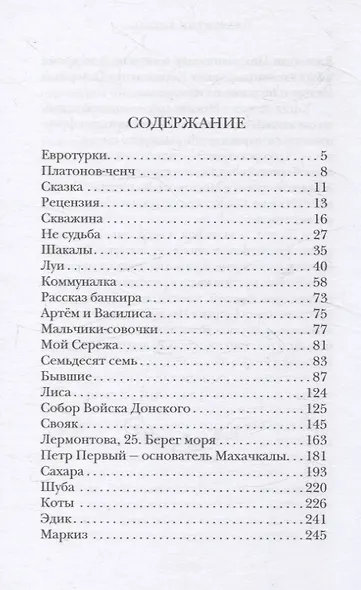 Мимоходом. Рассказы - фото 3