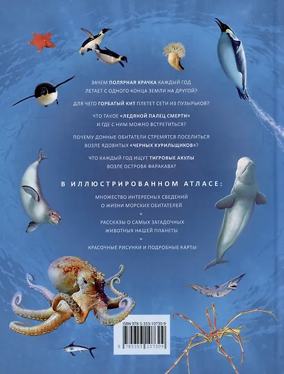 Моря и океаны. Иллюстрированный атлас - фото 6