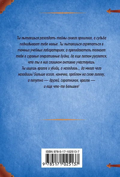 Высшая правовая магическая академия. Оперативные будни - фото 2