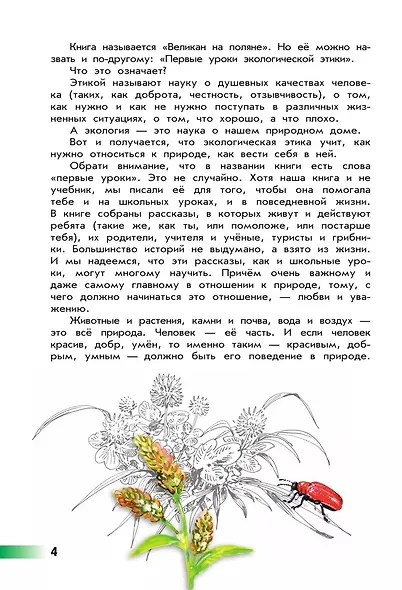 Плешаков. Великан на поляне, или Первые уроки экологической этики. /ШкР - фото 5