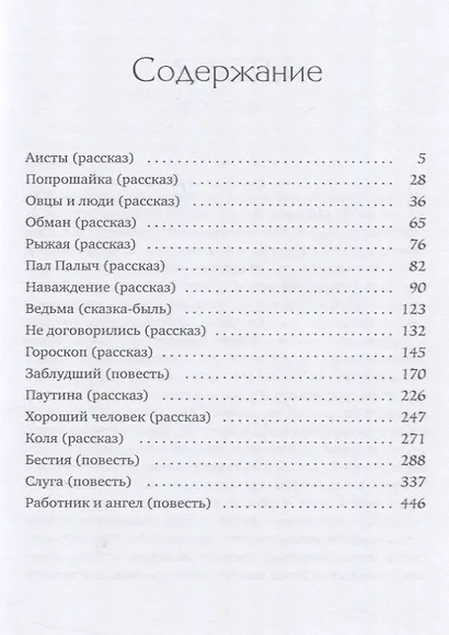 Аисты - фото 3