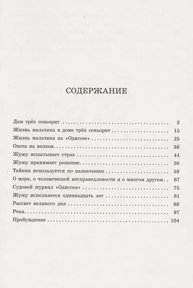 Безбилетный пассажир - фото 2