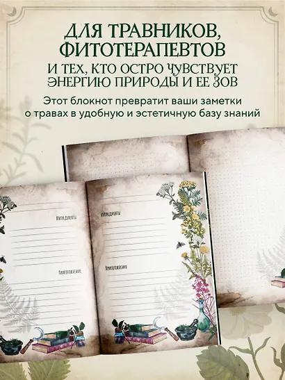 Практическая книга травницы. Сбор, заготовка и ритуалы с лекарственными растениями (Bruk.Herbs) - фото 5