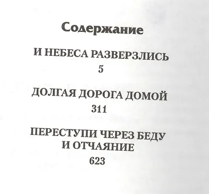 Возвращение. И небеса разверзлись. Долгая дорога домой. Переступи через беду и отчаяние - фото 3
