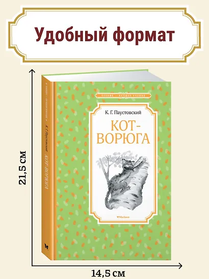 Кот-ворюга. Рассказы и сказки - фото 4
