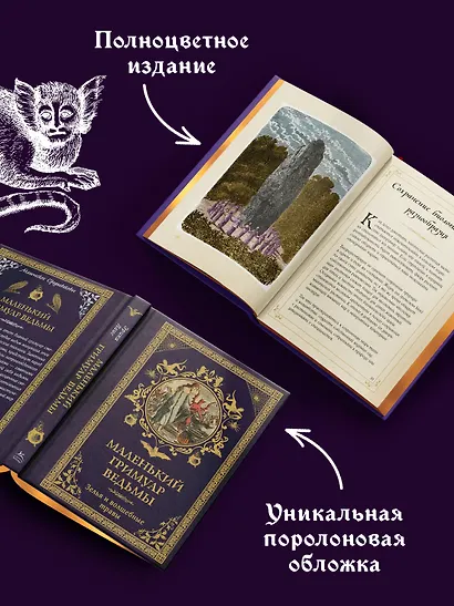Маленький гримуар ведьмы. Зелья и волшебные травы - фото 5