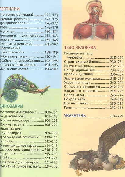 Большая энциклопедия знаний - фото 8