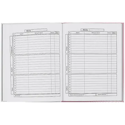 Дневник школьный Феникс+, "Кошка" - фото 2