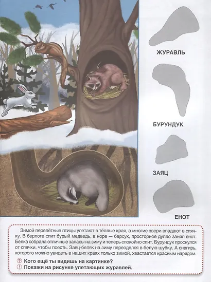 Кто, где живет? Обучающая книжка с наклейками - фото 3