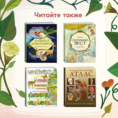 Кто живёт в лесу? Иллюстрированный атлас животных - фото 10