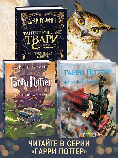 Гарри Поттер и Кубок Огня (Вранзор) - фото 6