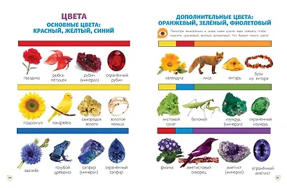 Главная книга малыша. Фотоэнциклопедия - фото 6