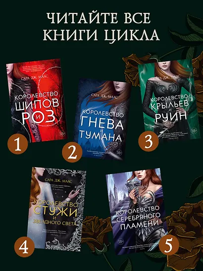 Королевство крыльев и руин - фото 6