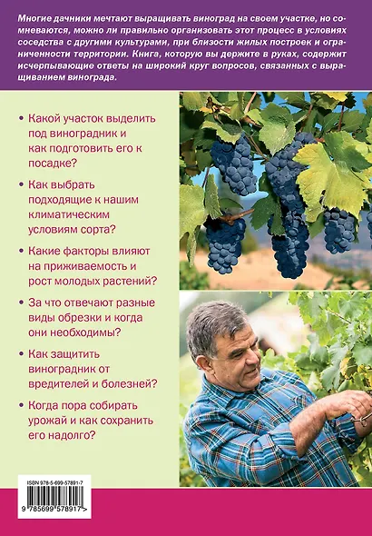 Ваш домашний виноградник - фото 2