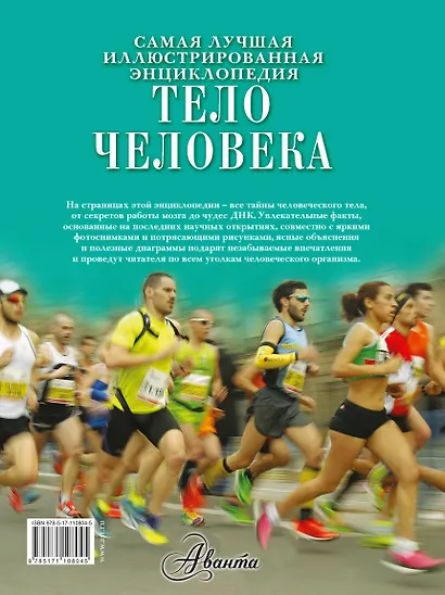 Тело человека - фото 2