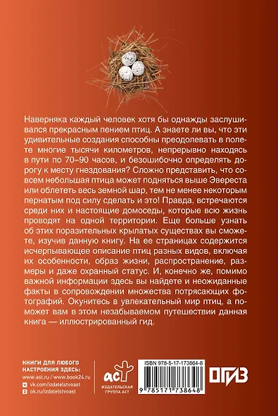 Птицы. Иллюстрированный гид - фото 2