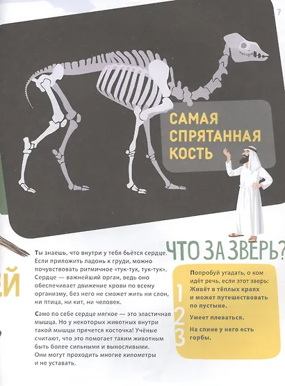 Поразительные животные: кости и скелеты - фото 4
