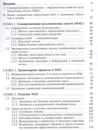 Мультиагентные системы самоорганизация и развитие (м) (Лихтенштейн) - фото 2