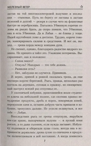 Железный ветер - фото 5