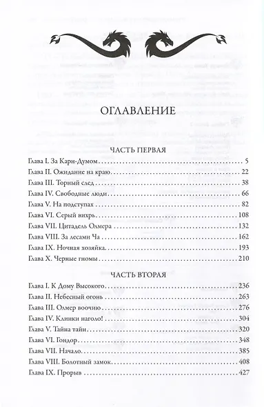 Черное копье - фото 2