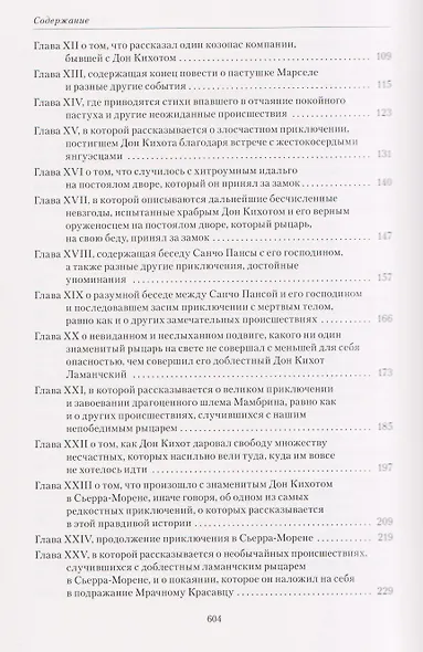 Комплект из 2 книг: Хитроумный Идальго Дон Кихот Ламанчский. Том 1. Том 2 - фото 6