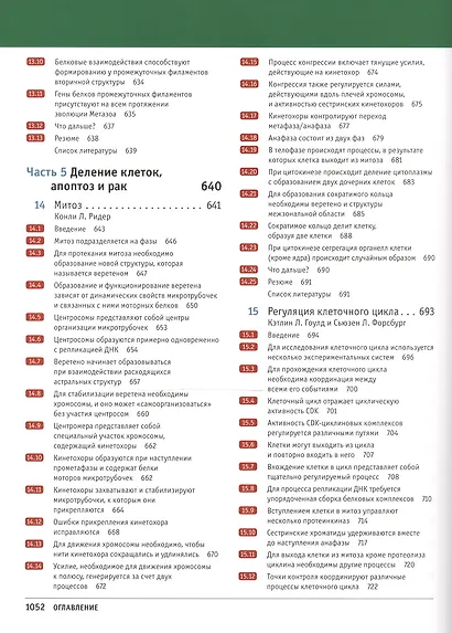 Клетки по Льюину - фото 14