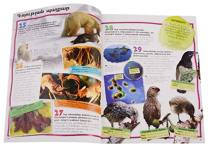 100 фактов. Эволюция (на армянском языке) - фото 6