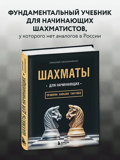 Шахматы для начинающих: правила, навыки, тактики - фото 4