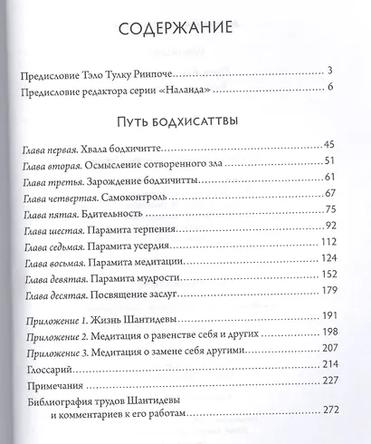 Путь бодхисаттвы (Бодхичарья-аватара)./ 2-е изд., испр. и доп. - фото 2