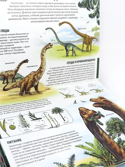Детская POP-UP энциклопедия. Динозавры. Мир доисторических животных - фото 2